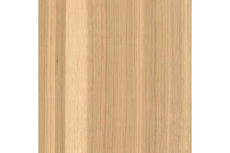 Exotic Hickory