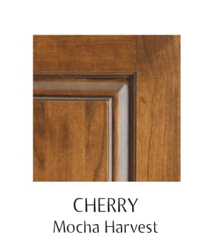 Debut Cherry Mocha Harvest