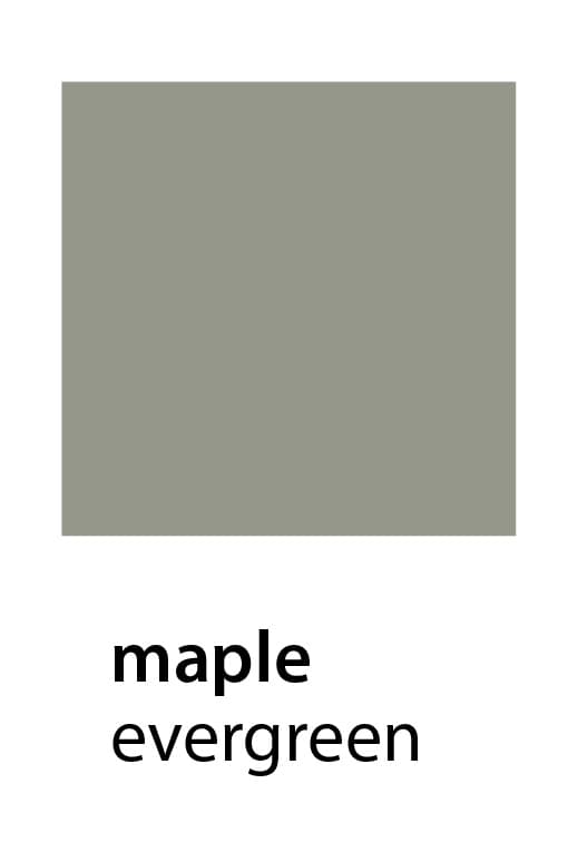 Presidential Maple Evergreen