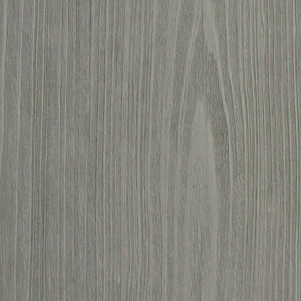 Slab Fossil Grey