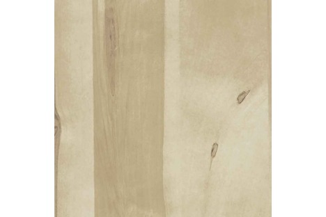 Rustic Birch