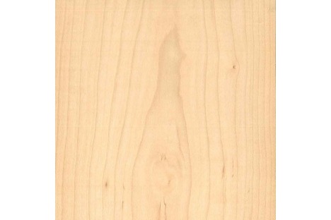 Standard Maple