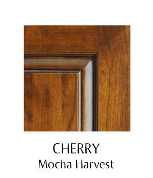Debut Cherry Mocha Harvest